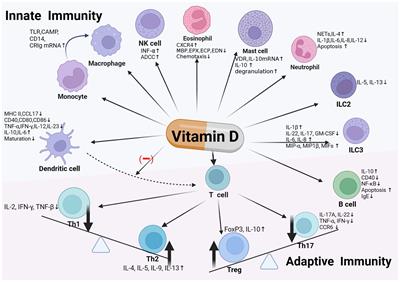 Vitamin D and allergic diseases